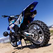 Moto RC 1/4 - Promoto-MX Club MX - BLEU - RTR SANS accu, ni chargeur LOSI